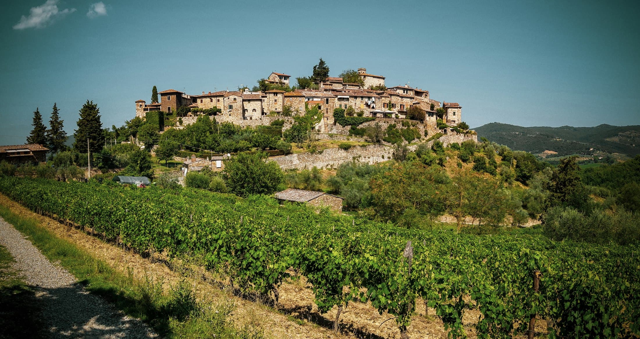 The hilltop village of Montefioralle above rows of vines near Greve in Chianti