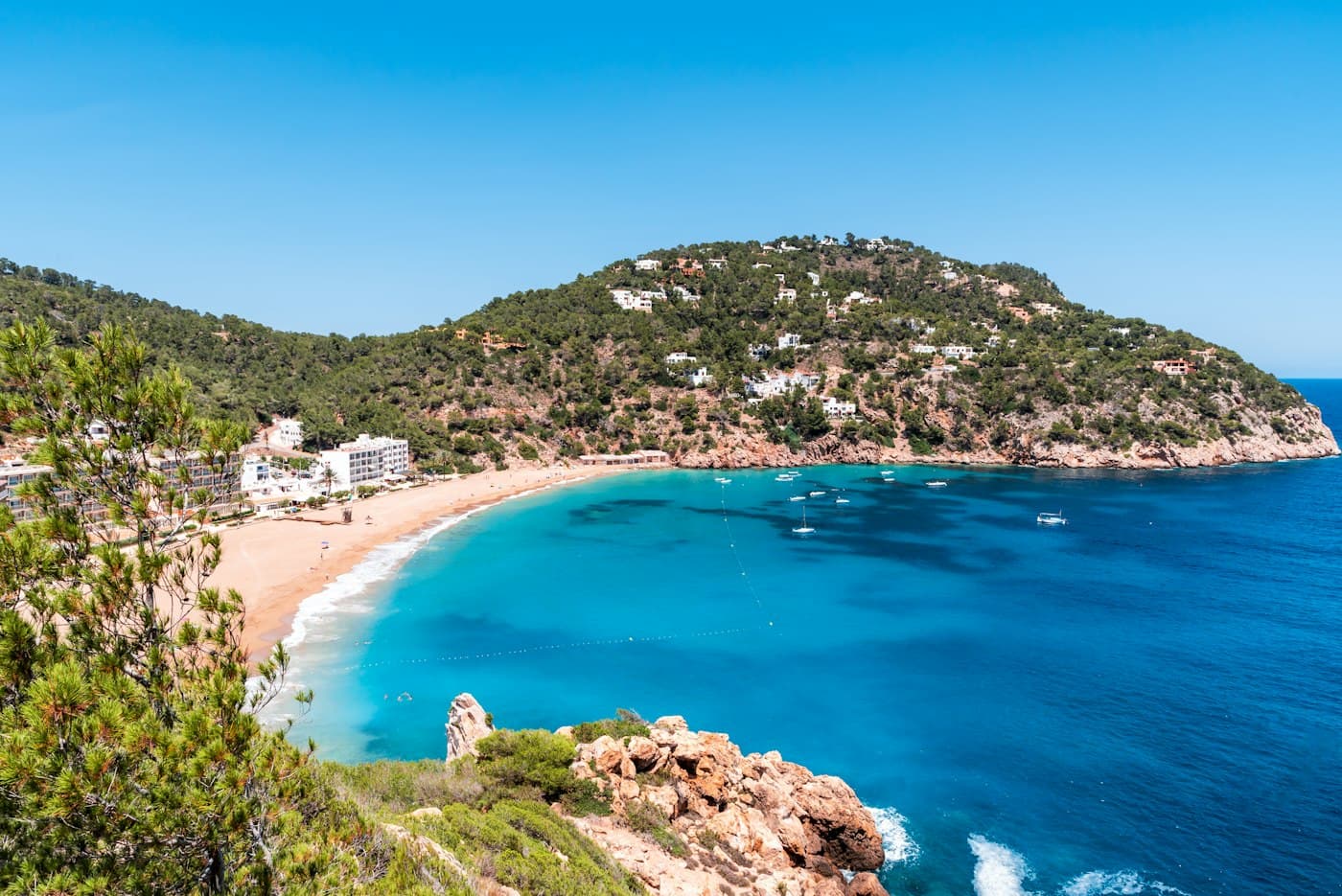 The sandy bay of Cala de Sant Vicent in the north of Ibiza, turquoise water below pine-covered hills