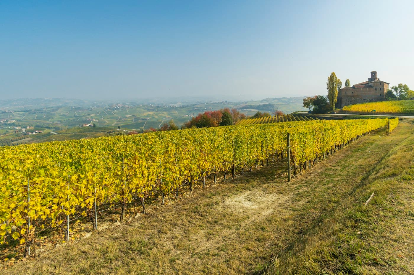 Filari che ingialliscono su un pendio vicino a Barolo, un vecchio edificio di pietra tra i pioppi sul crinale e le colline che sfumano nella foschia