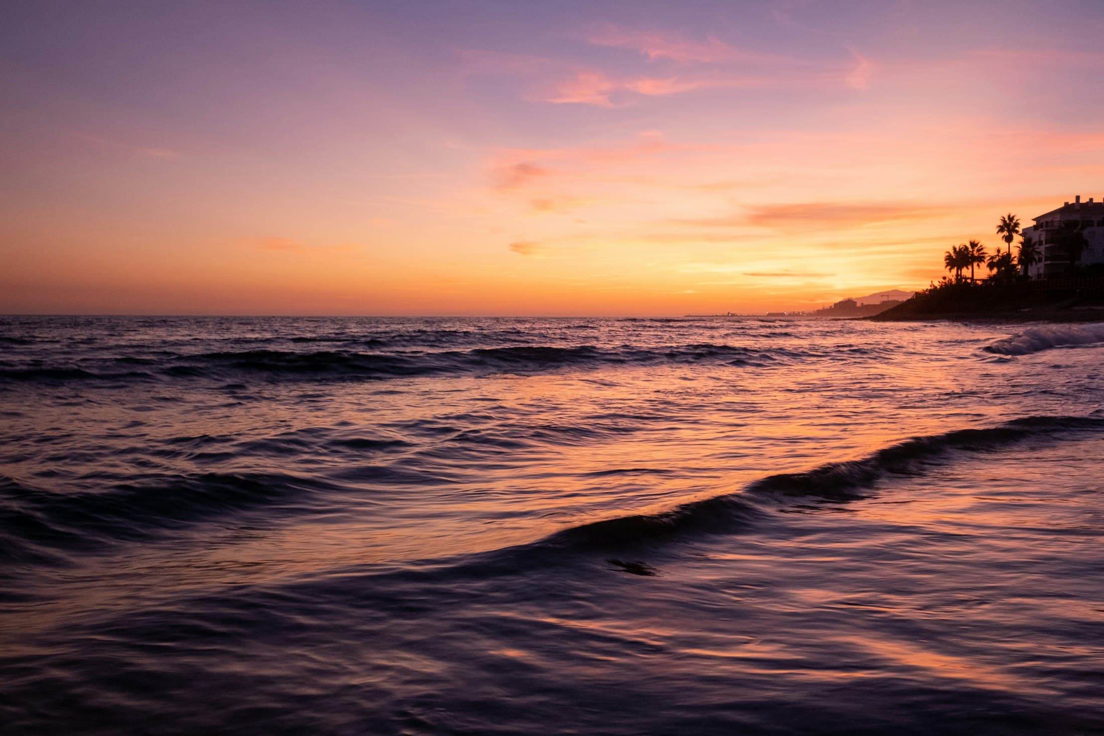 The Mediterranean at Marbella after sunset, the sky pink and orange over a shore lined with palms