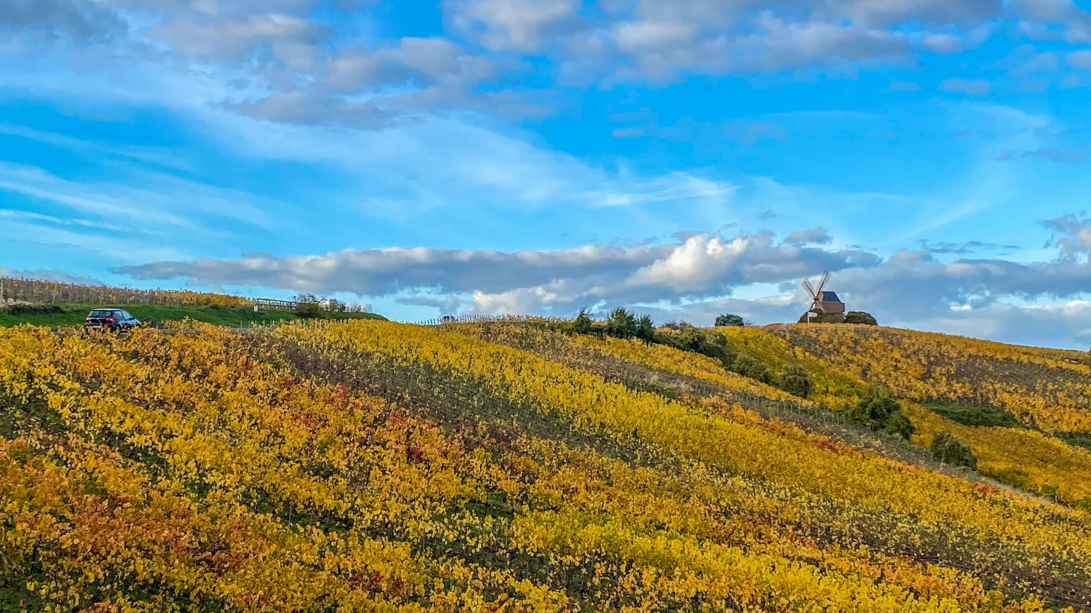 The Verzenay windmill on its hill above autumn vines on the Montagne de Reims, long clouds across a blue sky