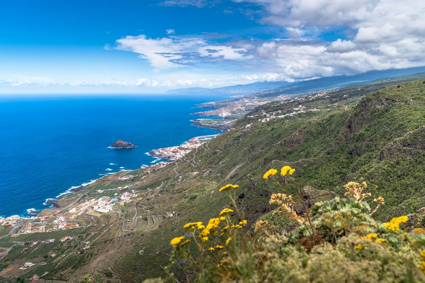 Garachico and the rock in its bay seen from the heights above, yellow wild flowers in front and Tenerife’s north coast beyond