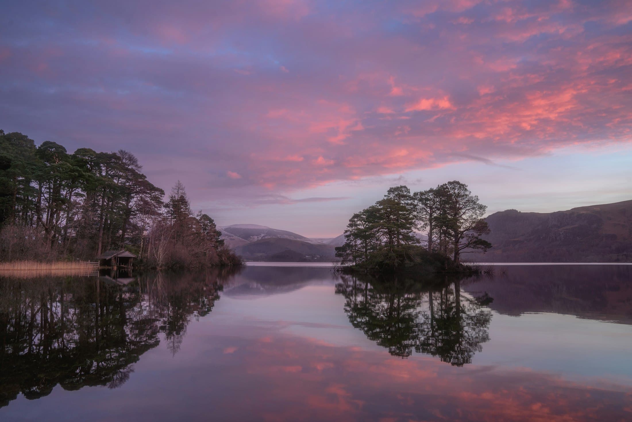 Otter Island im Derwentwater, ihre Kiefern spiegeln sich im stillen See unter rosa Wolken, am bewaldeten Ufer ein Bootshaus, Schnee auf den fernen Fells