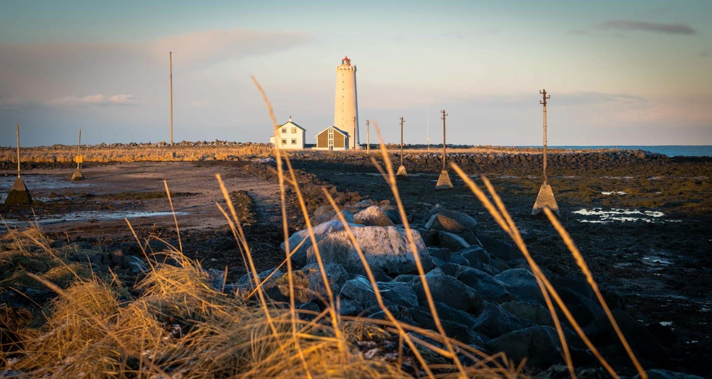 Grótta lighthouse and the keeper’s houses in the last light, seen past dry grass and the rocks of the shore