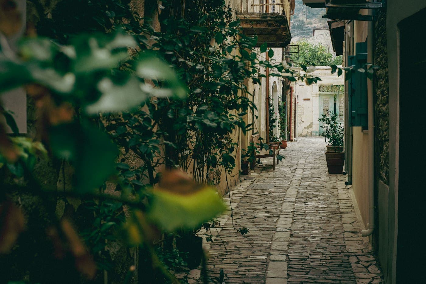A narrow cobbled lane in Lefkara between old stone houses, with climbing plants, potted trees and a bench in the shade