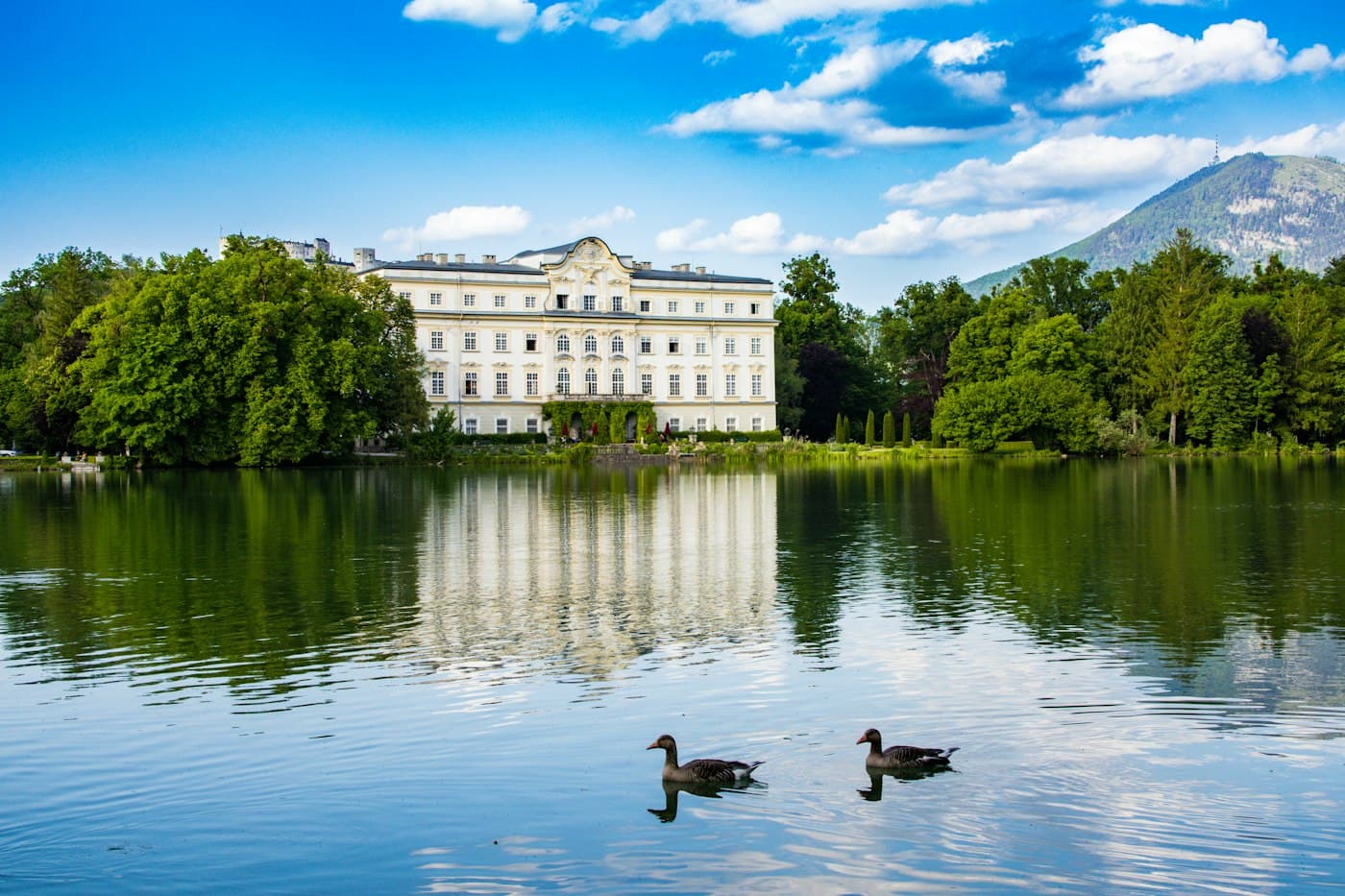 Das Rokokoschloss Leopoldskron, gespiegelt in seinem Weiher am Salzburger Stadtrand, mit zwei Gänsen auf dem Wasser