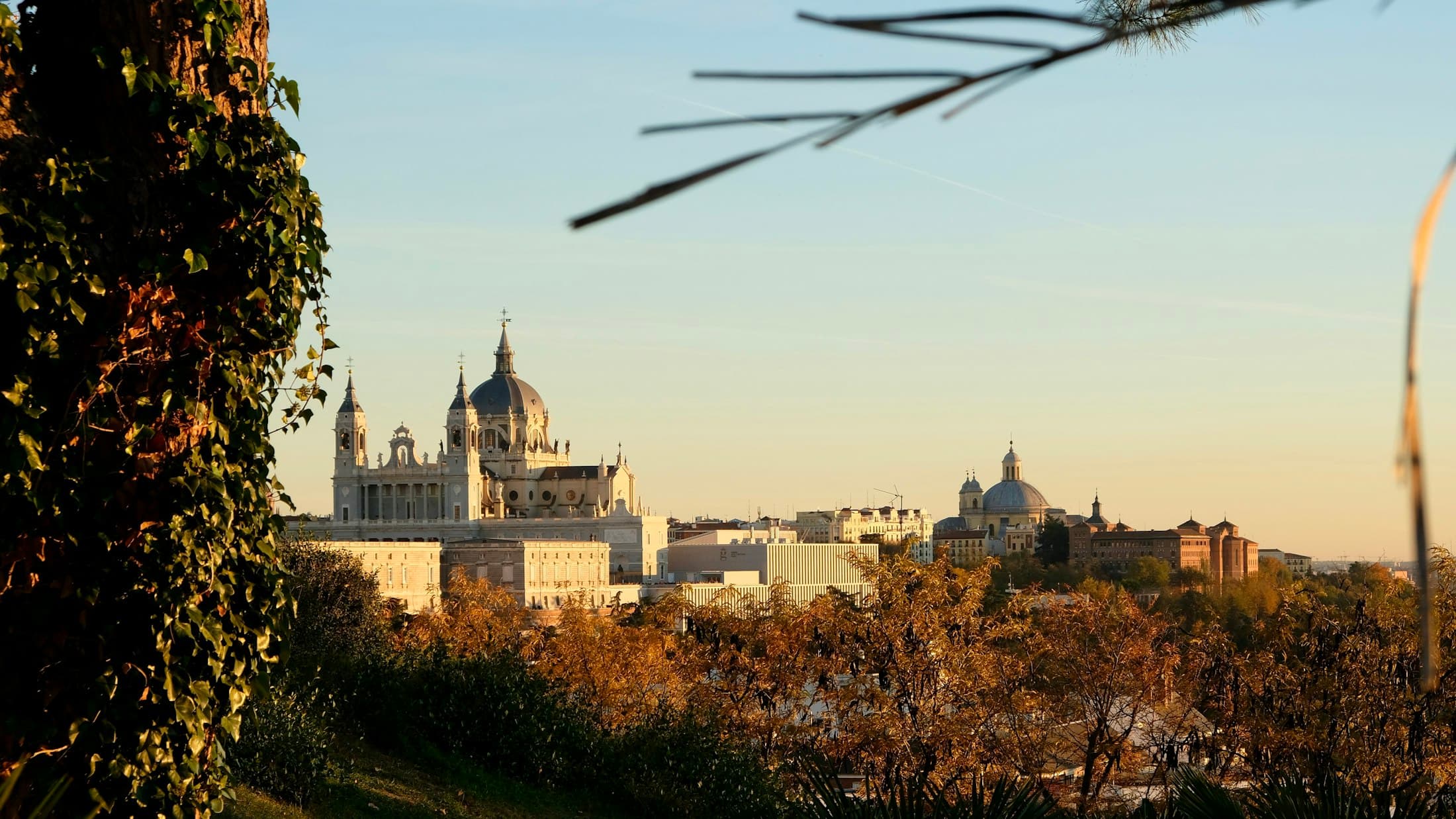 Madrid's cathedral and royal palace at sunset, seen from a park