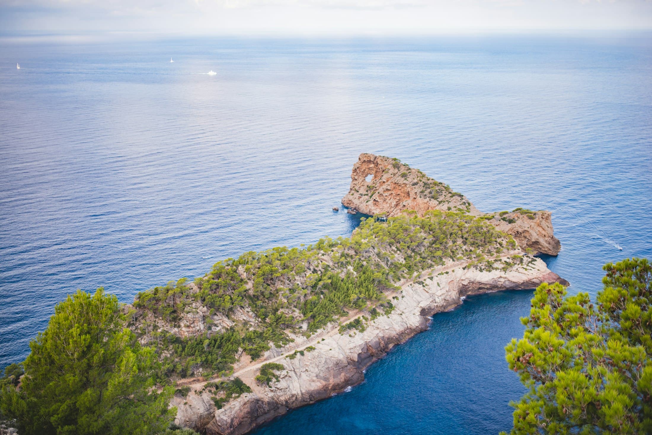 A pine-covered headland reaching into the sea on Mallorca's north-west coast