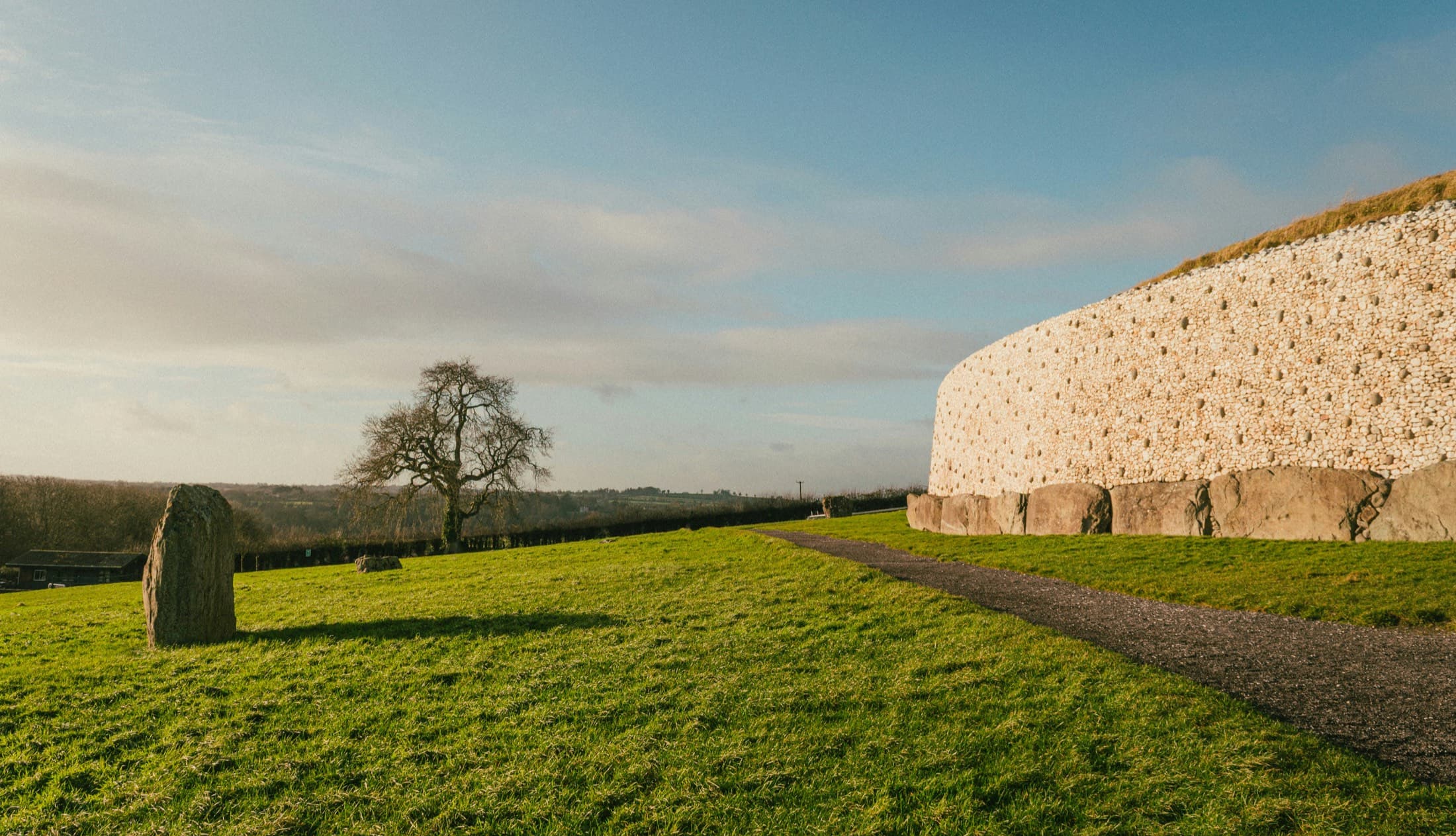 Newgrange’s curved white quartz wall above the ring of great kerbstones round its base, lit by low sun, with a standing stone and a bare tree on the grass in front