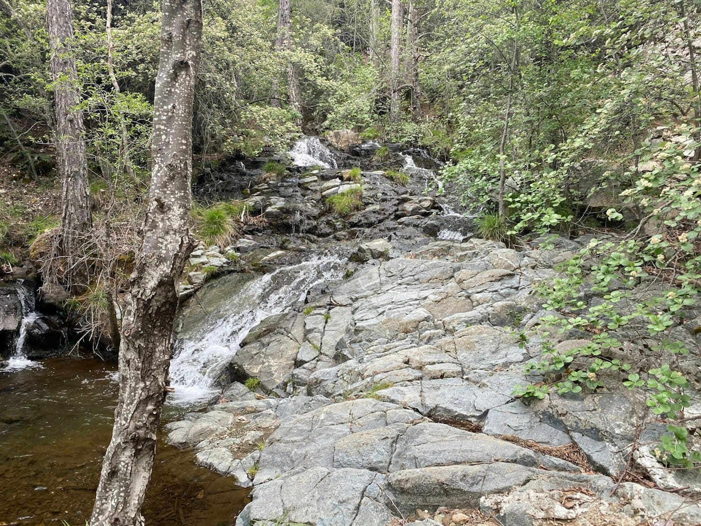 A stream tumbling over grey rock among green trees in the forest above Platres