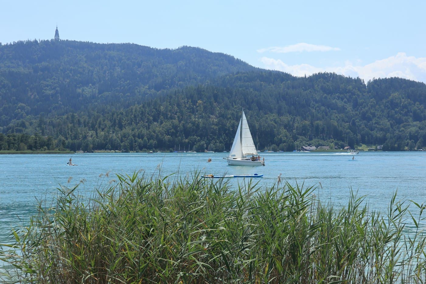 A sailboat on the Wörthersee off Pörtschach, reeds in front and the Pyramidenkogel’s tower on the wooded hill beyond