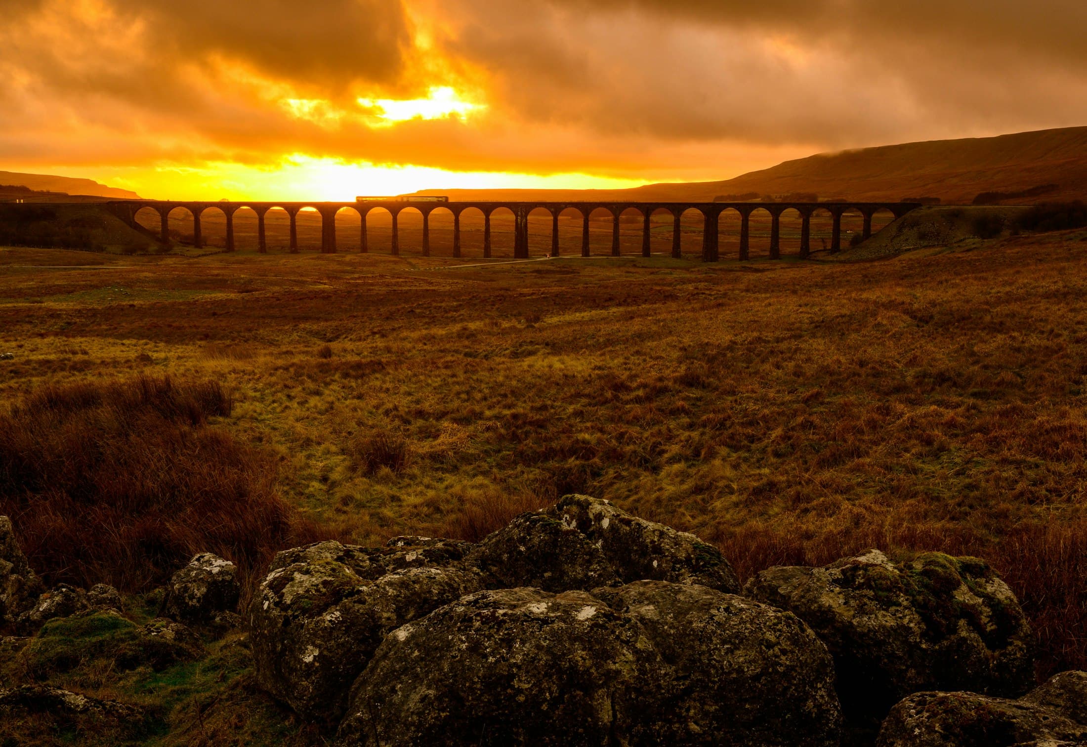 Die Bögen des Ribblehead-Viadukts vor der untergehenden Sonne, mit einem Zug darauf und flechtenbewachsenen Felsblöcken im braunen Moorland davor