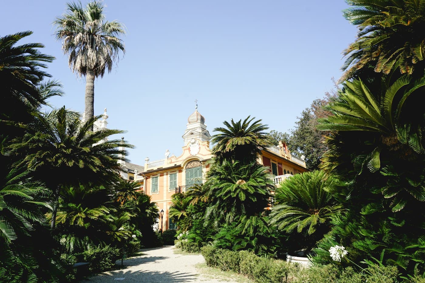 Une allée de gravier entre palmiers et cycas, menant à une villa ancienne à Santa Margherita Ligure