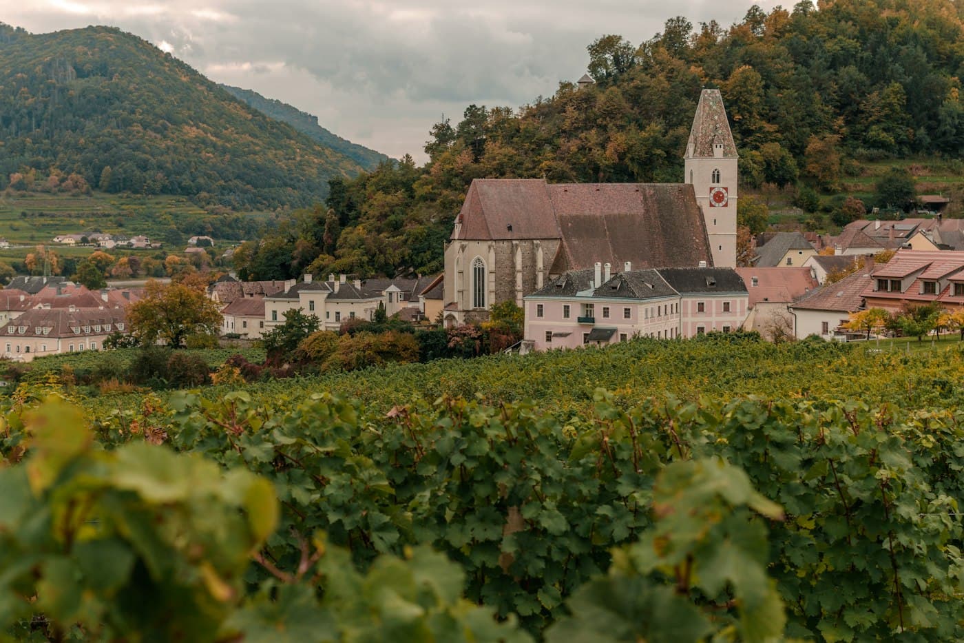 The Gothic church of Spitz and the village houses beyond the vines, in autumn
