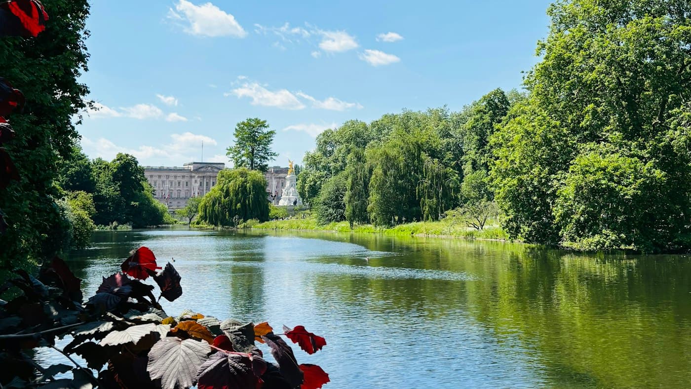 Le lac de St James’s Park par une journée ensoleillée, des saules pleureurs et de grands arbres sur ses rives, au fond la façade de Buckingham Palace et le Victoria Memorial doré, et des feuilles rouge sombre au premier plan