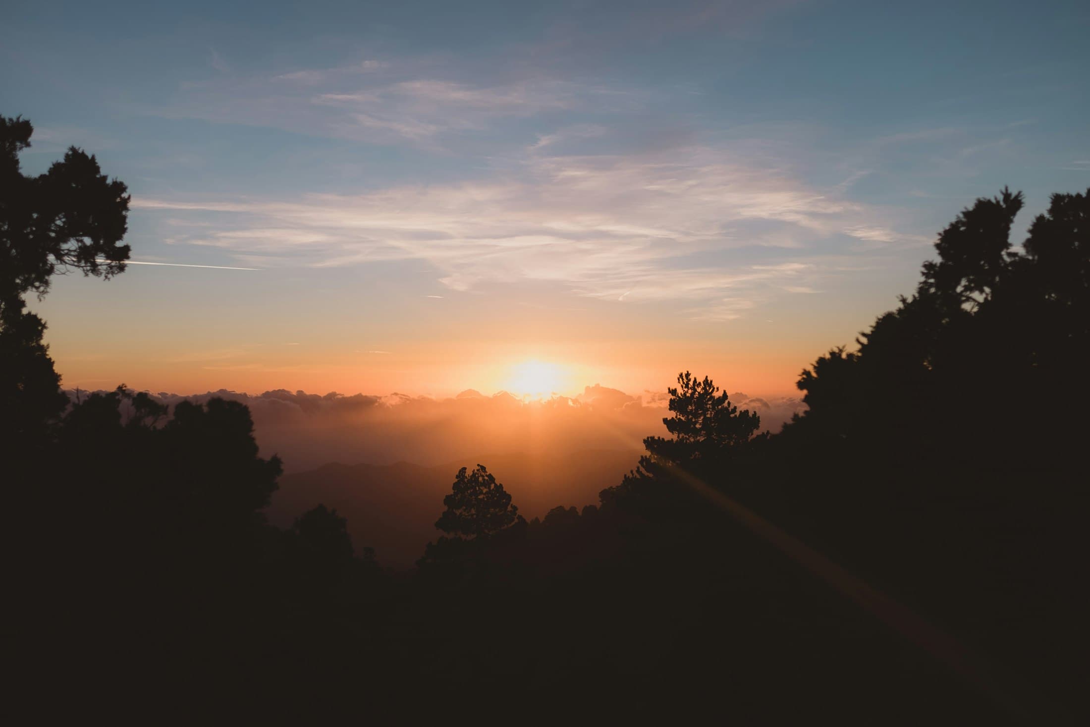 Pines silhouetted against a low sun in the Troodos, with a bank of cloud and the hills below glowing orange