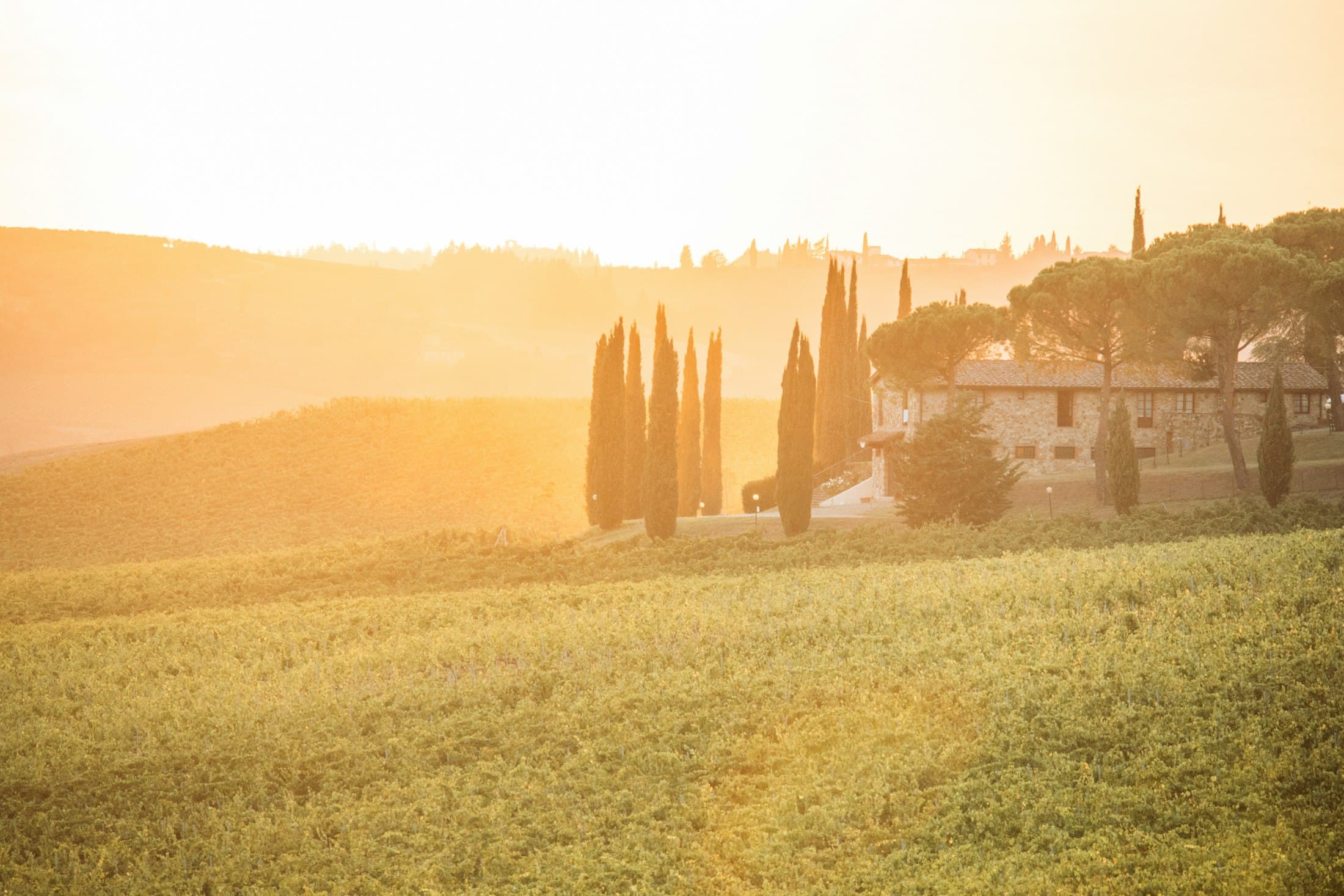 Uma casa de campo toscana e ciprestes na luz dourada do fim do dia
