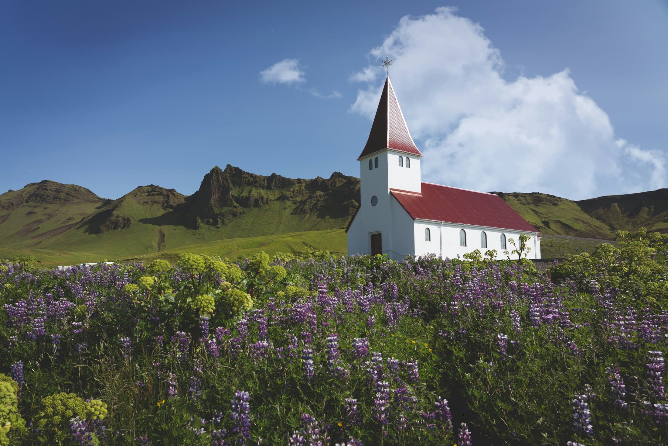 La iglesia blanca de Vík, de tejado rojo, sobre un campo de altramuces morados, con montañas verdes detrás