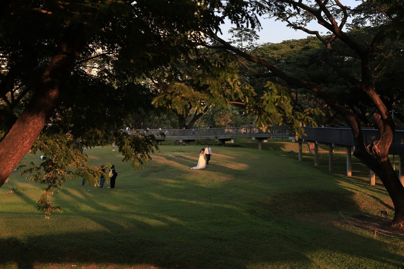 Eine Braut im langen weißen Kleid und ein Bräutigam im weißen Hemd gehen in der tiefen Abendsonne über eine abfallende Wiese in einem Park in Bangkok, unter ausladenden Bäumen, hinter ihnen ein Hochweg und seitlich ein paar Leute ihres Teams