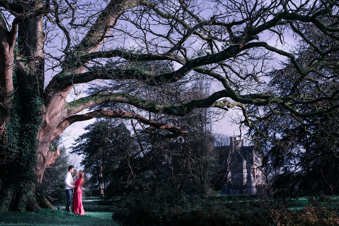 A couple, she in a long red dress, beneath the spreading branches of an old tree in the parkland at Blarney, near Cork
