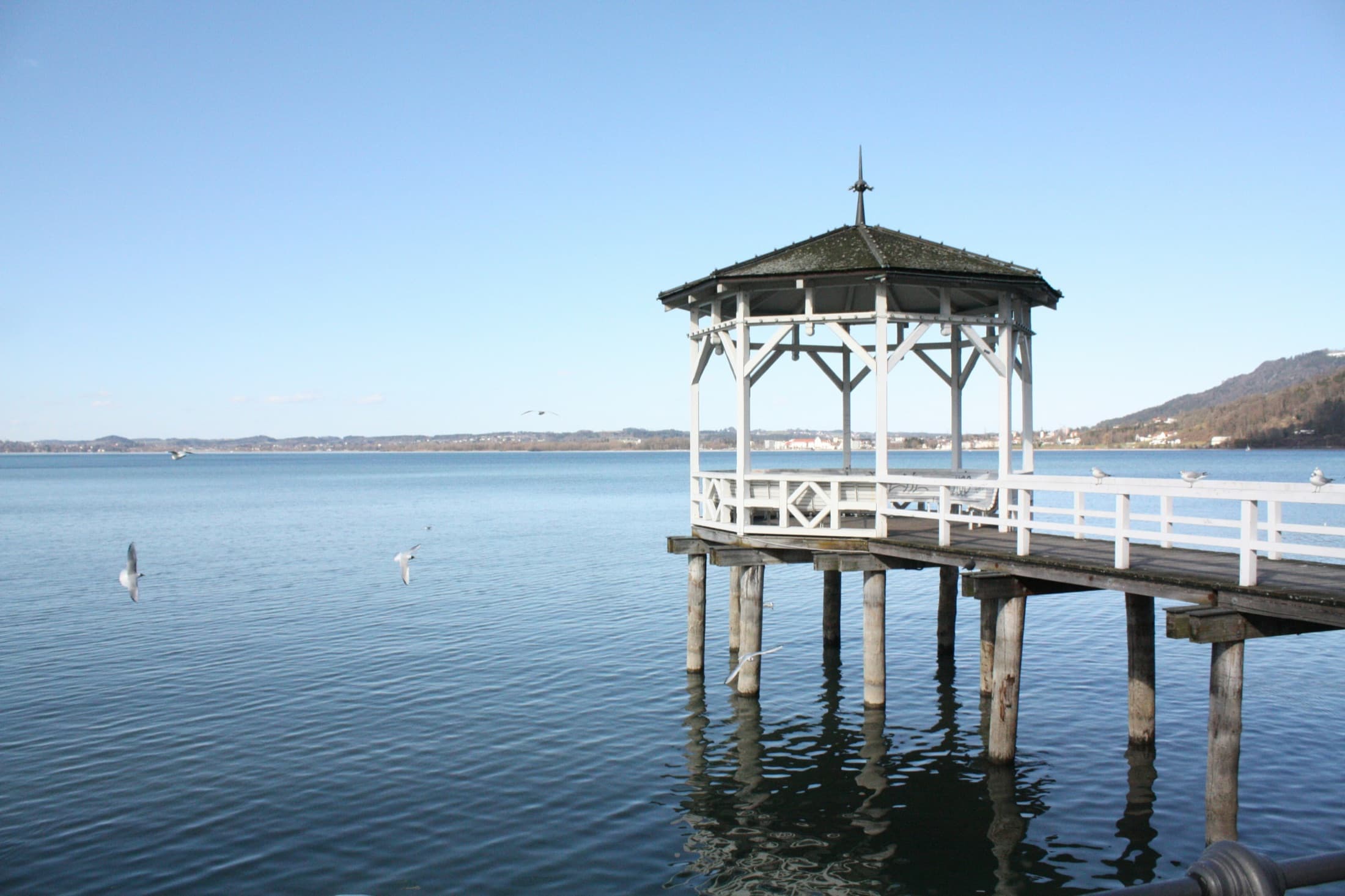 A white wooden pavilion on stilts at the end of a pier on Lake Constance at Bregenz, with gulls flying low over the calm blue water and a wooded hill rising from the shore on the right