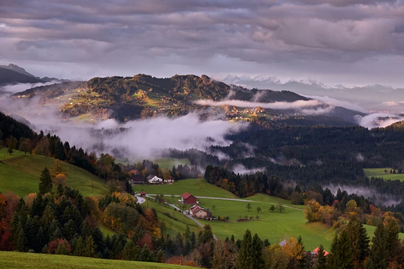 An autumn morning in the Bregenzerwald, seen from Sulzberg: mist lying in the valleys between wooded hills, green meadows with farmhouses and a winding road below, a village catching the sun on a far slope and snowy peaks in the distance