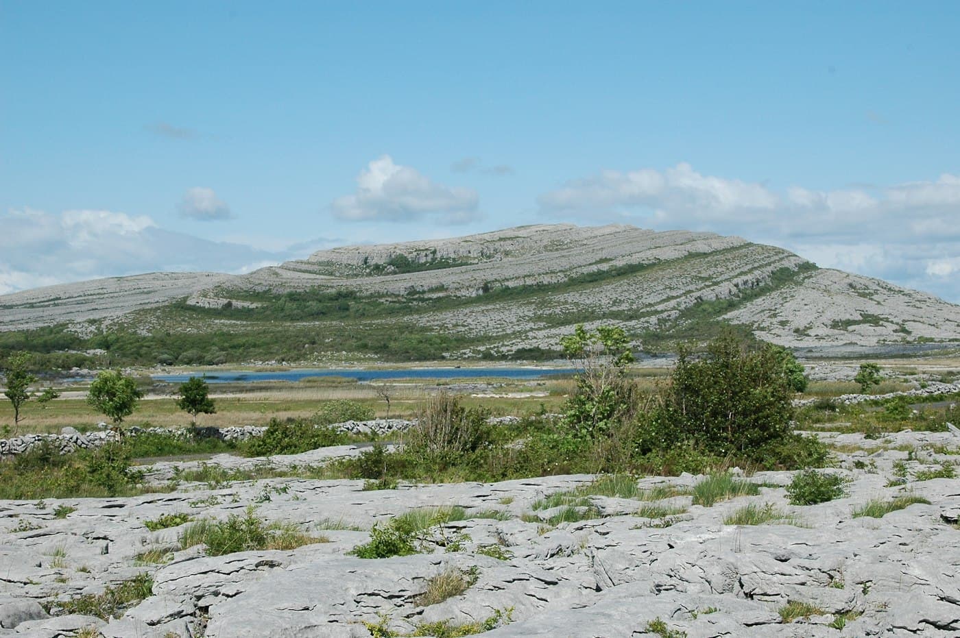 Graue Kalksteinplatten im Burren mit niedrigen Bäumen, einem kleinen See und einem terrassierten Kalksteinhügel dahinter unter blauem Himmel