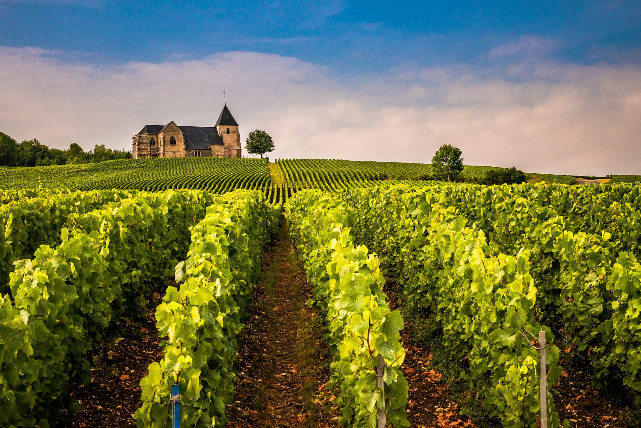 The church of Chavot on its hill above rows of Champagne vines