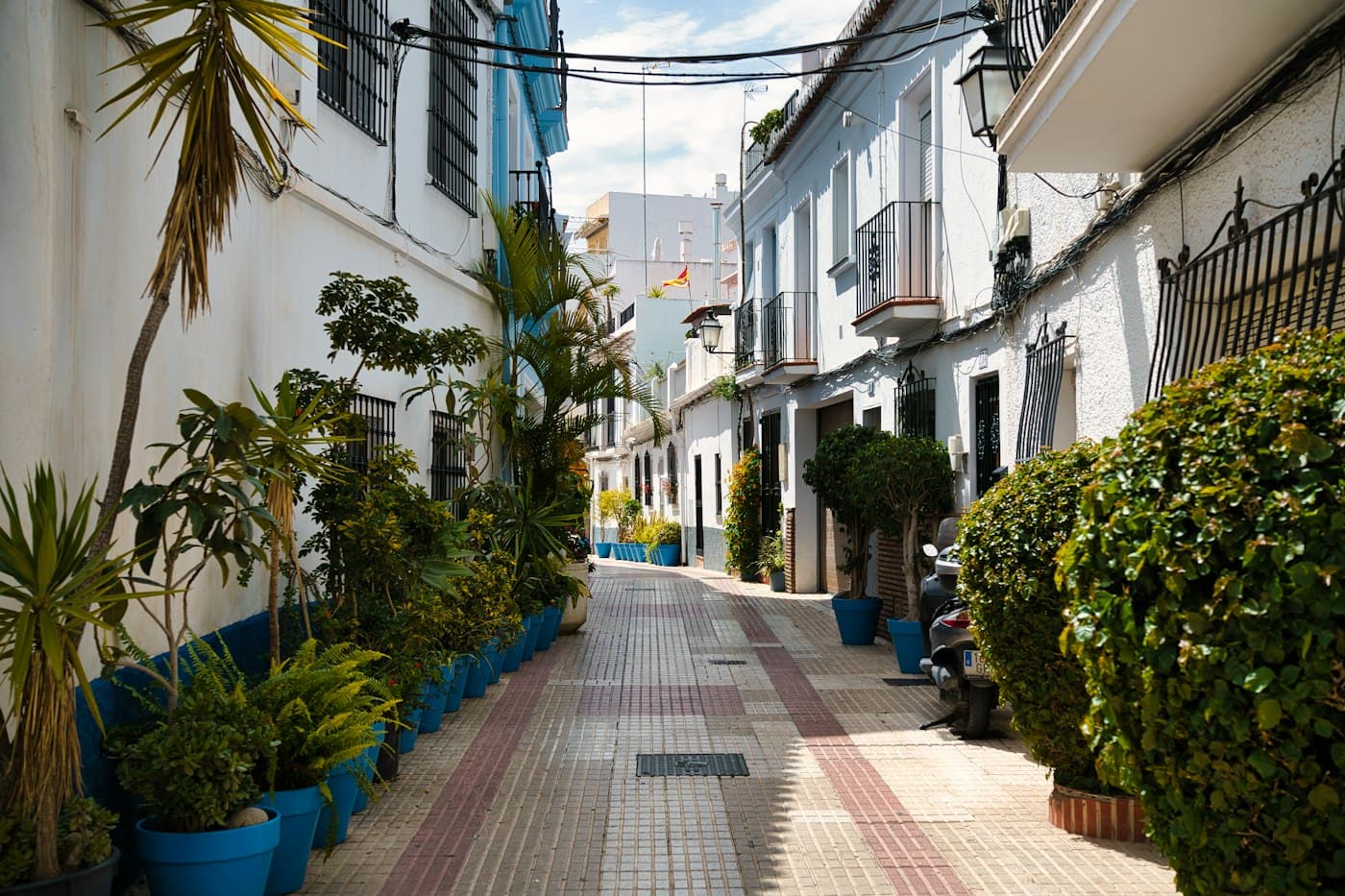 A narrow pedestrian street of white houses in Marbella, lined with blue flowerpots and palms