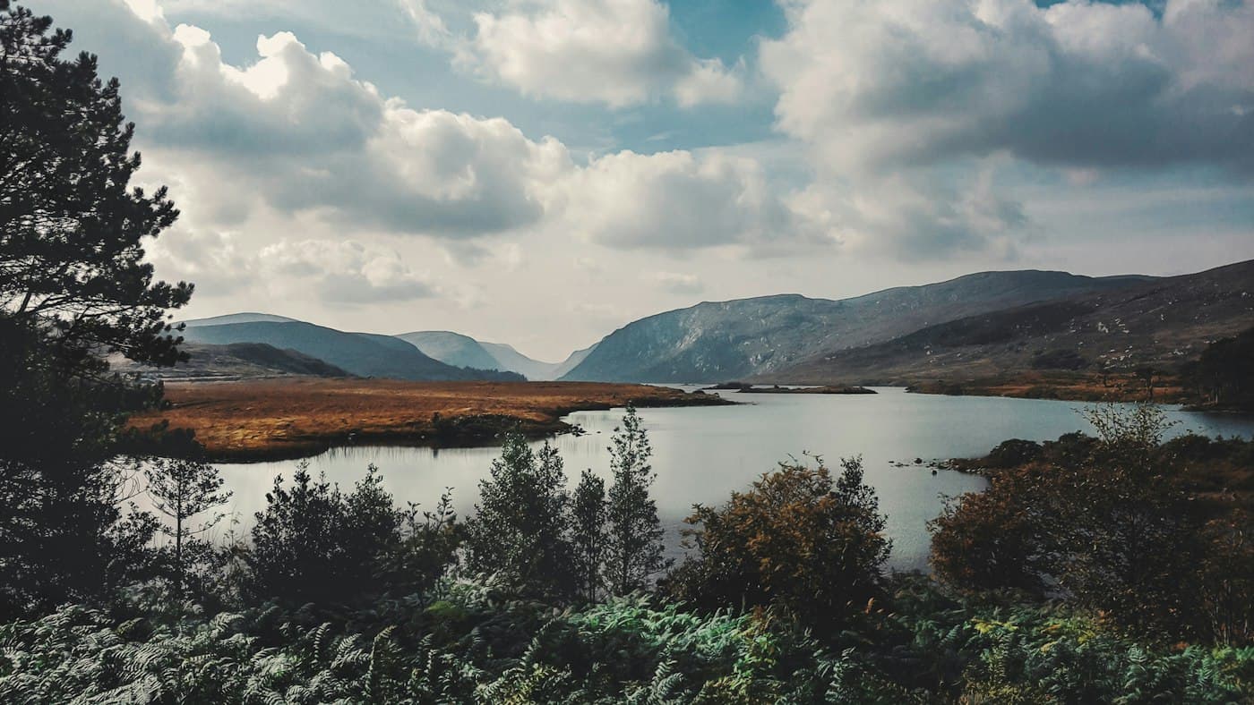 Lough Veagh in Glenveagh National Park between bare mountains, with golden bog grass and dark trees in front