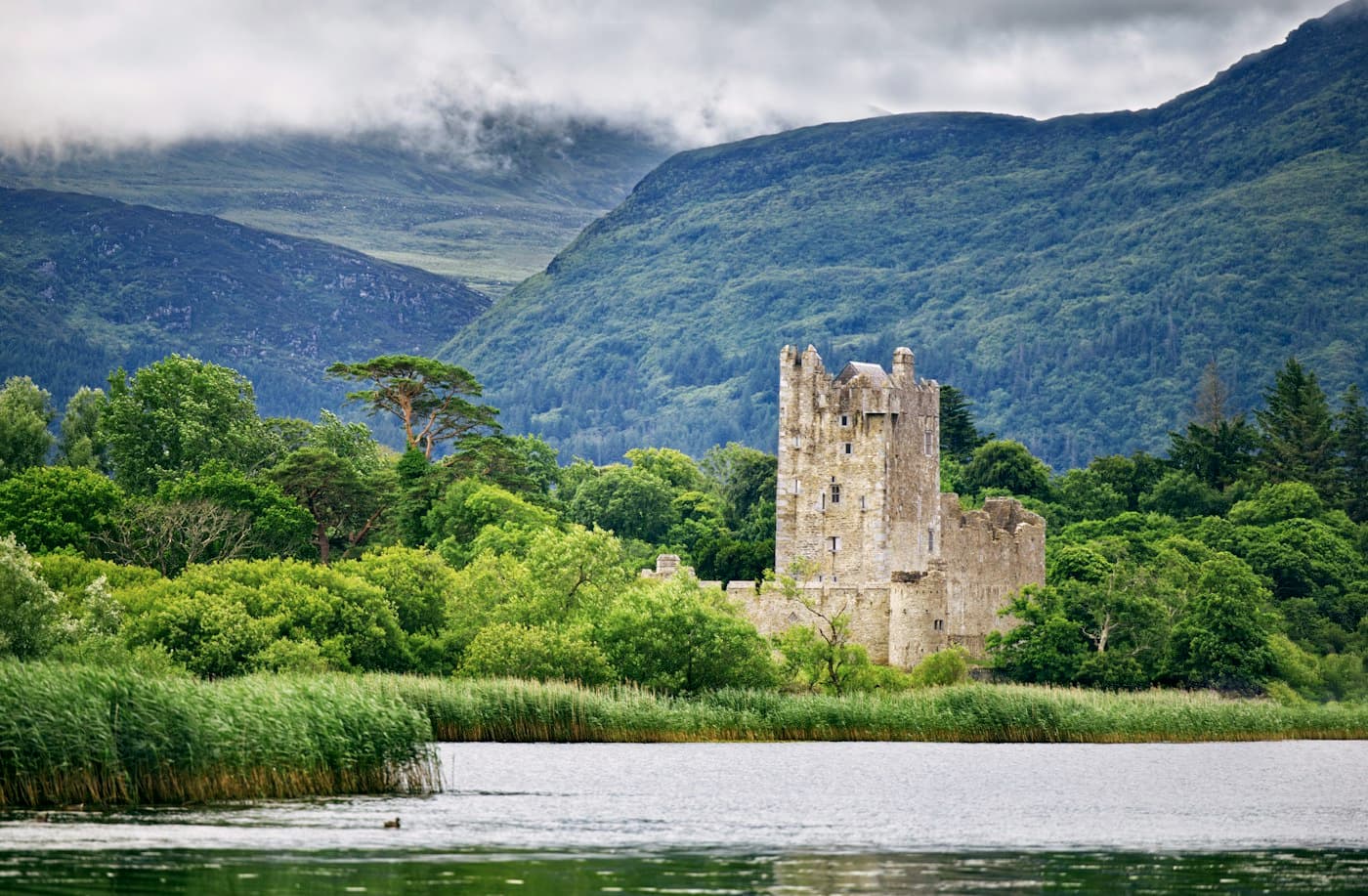 Der Steinturm von Ross Castle zwischen grünen Bäumen am Ufer des Lough Leane, davor Schilf, dahinter bewaldete Berge unter tiefen Wolken