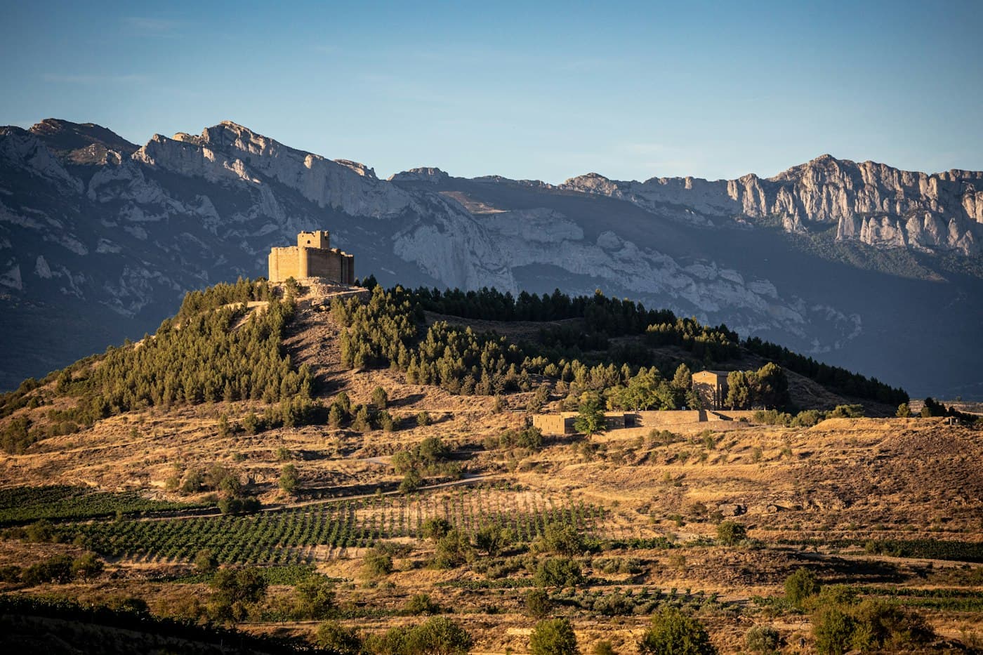 A hilltop castle above vineyards in Rioja, with mountains behind